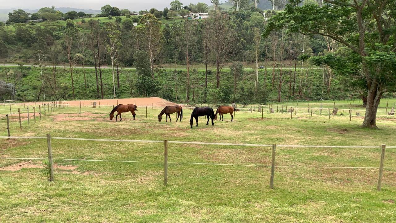 Cavalo Guesthouse & Equestrian Estate Drummond Eksteriør bilde
