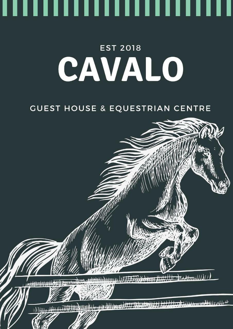 Cavalo Guesthouse & Equestrian Estate Drummond Eksteriør bilde